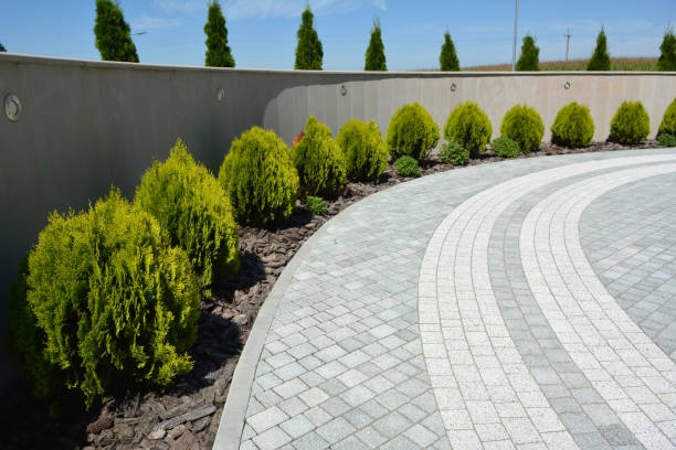 Best Driveway Paving Contractor  in Mayfield Heights, OH